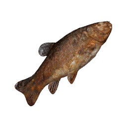 Large Grilled Fish