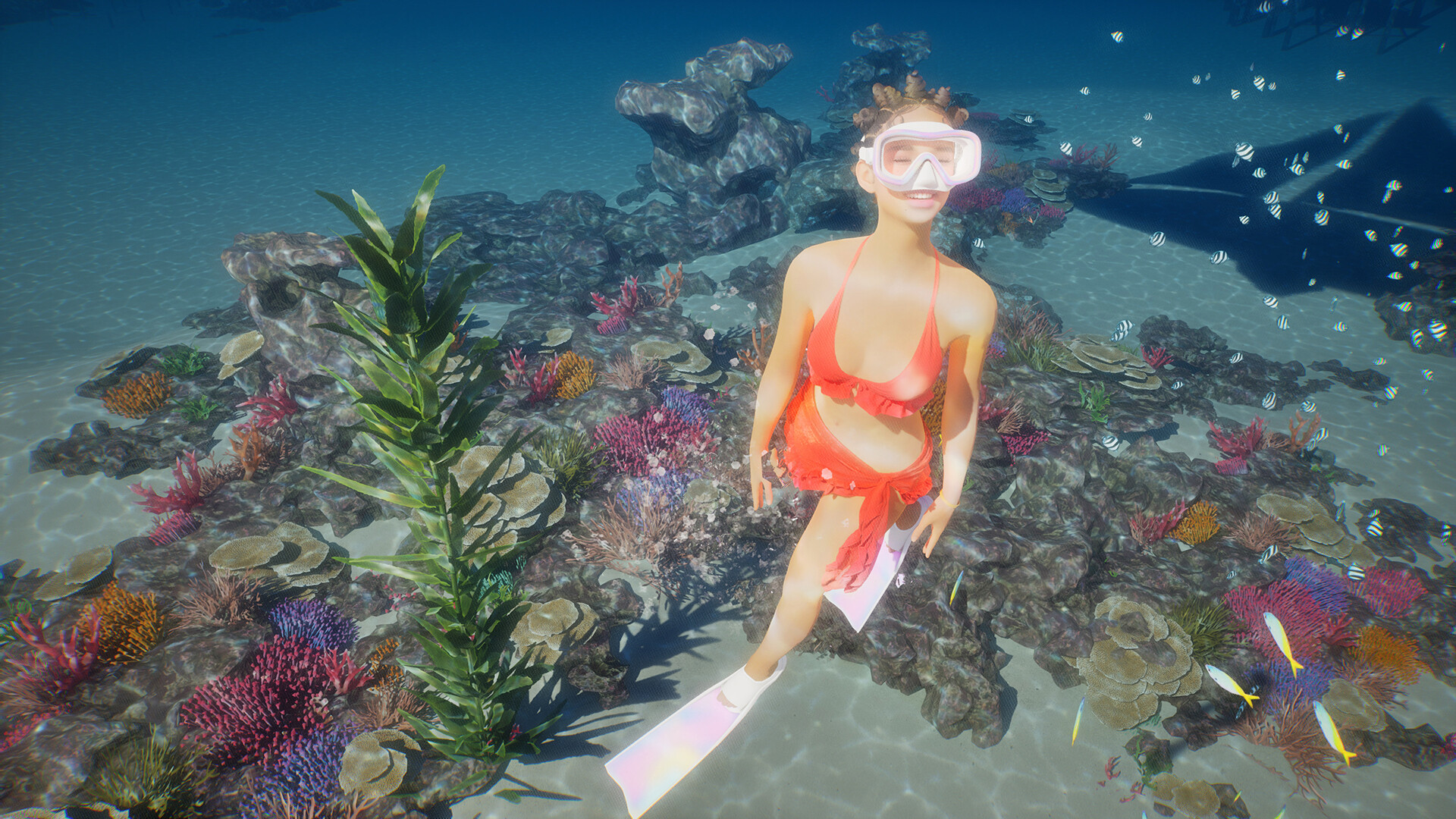 A Zoi snorkeling among colorful coral reefs and tropical fish