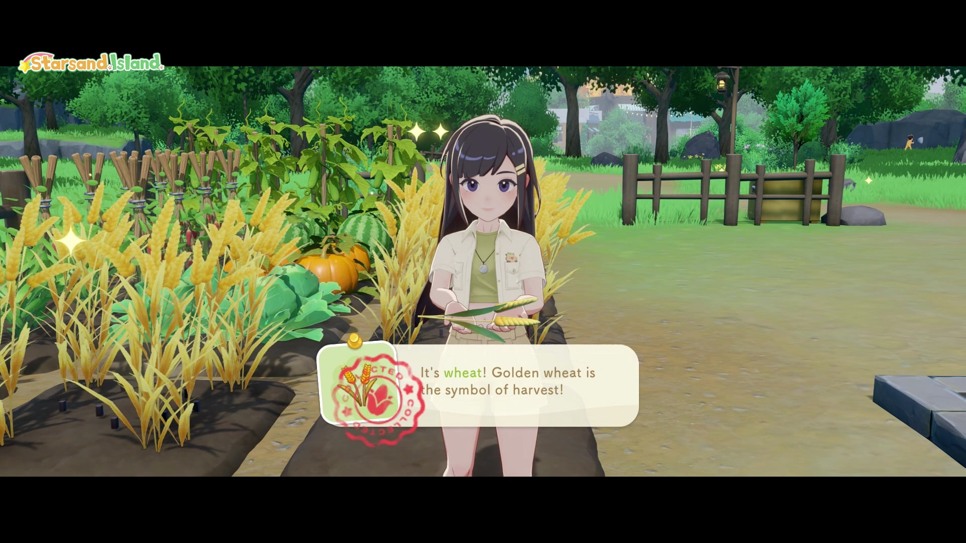 Harvesting golden wheat on the farm with the dialogue: Golden wheat is the symbol of harvest!