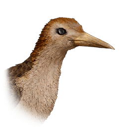 Crake lifeform icon from Crimson Desert