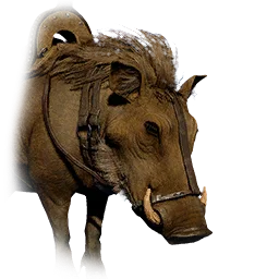 Black-Maned Boar