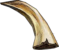 Boar Tusk