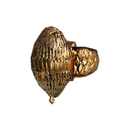 Ancient Shell Ring
