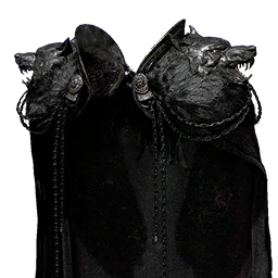 Goyen's Cloak