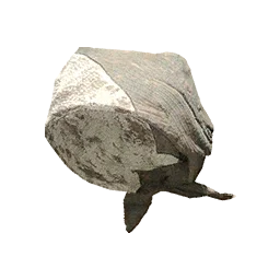Ruckshi Cloth Cap