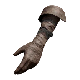 Naira's Gloves