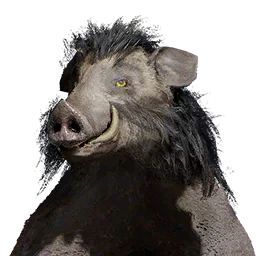 Boar Cloak