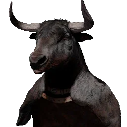 Cow Cloak