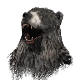 Boss Bear Hat