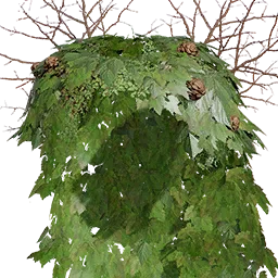 Shadowleaf Cloak