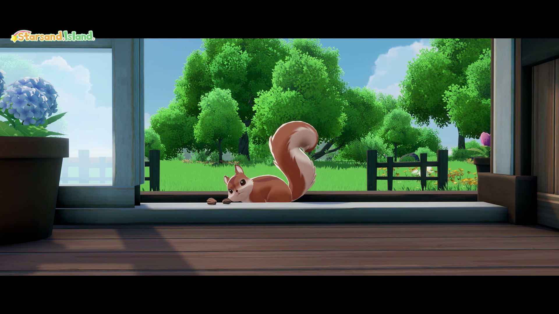 A squirrel pet relaxing on the wooden porch of the homestead with hydrangeas outside