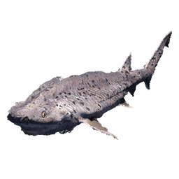 Broadnose Sevengill Shark fish icon from Crimson Desert