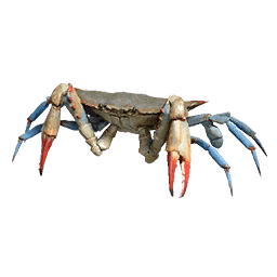 Blue Crab aquatic creature icon from Crimson Desert