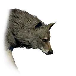 Large Wolf