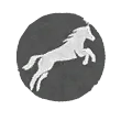 Leap icon