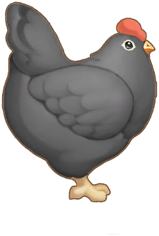 Ink Chicken