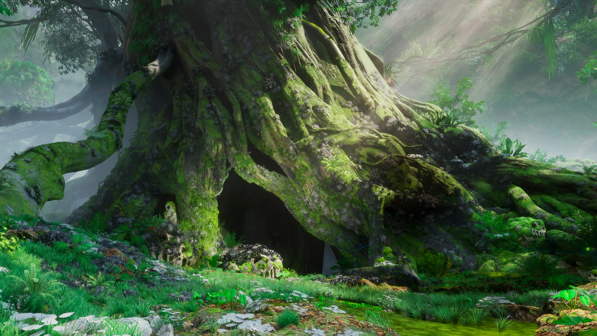Elderwood, the giant ancient trees of Lushland