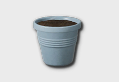 Blueberry Seedling outdoor furniture item in inZOI