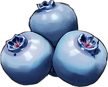 Cocoplum