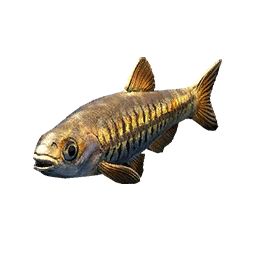 Small Rasbora fish icon from Crimson Desert