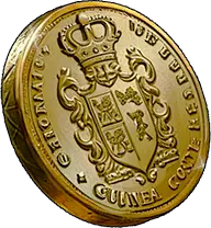Guinea icon