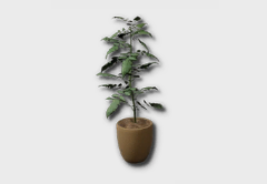 Premium Tomato Seedling outdoor furniture item in inZOI