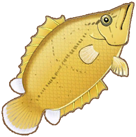 Leaffish
