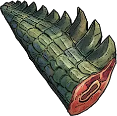 Crocodile Tail