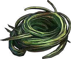 Plant Fiber