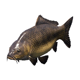 Carp fish icon from Crimson Desert