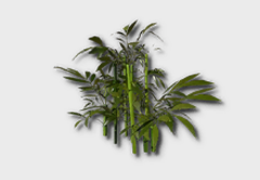 Bamboo Sapling outdoor furniture item in inZOI
