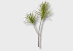 Split Willow Tree outdoor furniture item in inZOI