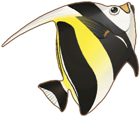 Moorish Idol