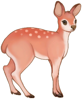 Red Musk Deer