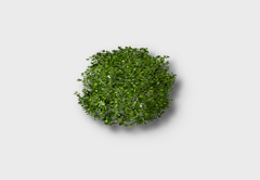 Small Boxwood outdoor furniture item in inZOI