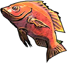 Red Snapper