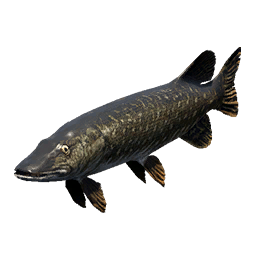 Northern Pike fish icon from Crimson Desert