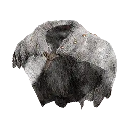 Northern Fighter's Chain Cloak