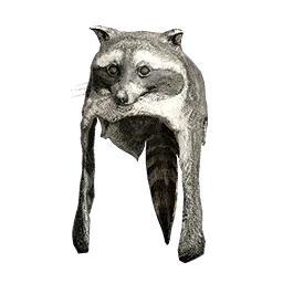 Raccoon Cloth Hat