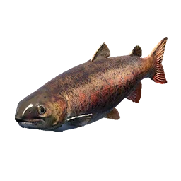 Lenok