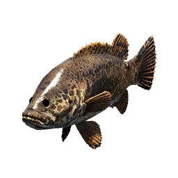 Leopard Perch