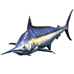 Striped Marlin