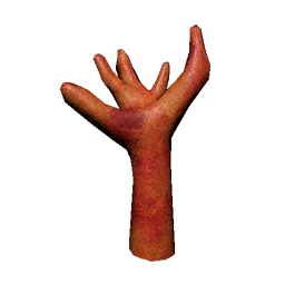 Poison Fire Coral Mushroom