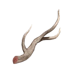Long Horn