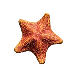 Starfish