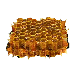 Beehive