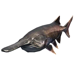 Paddlefish