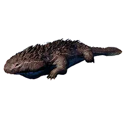 Burrowing Salamander