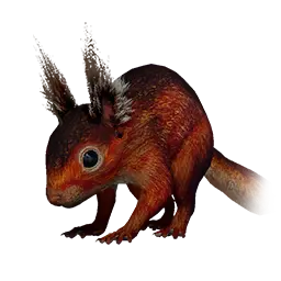 Red Squirrel