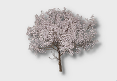 Cherry Tree outdoor furniture item in inZOI